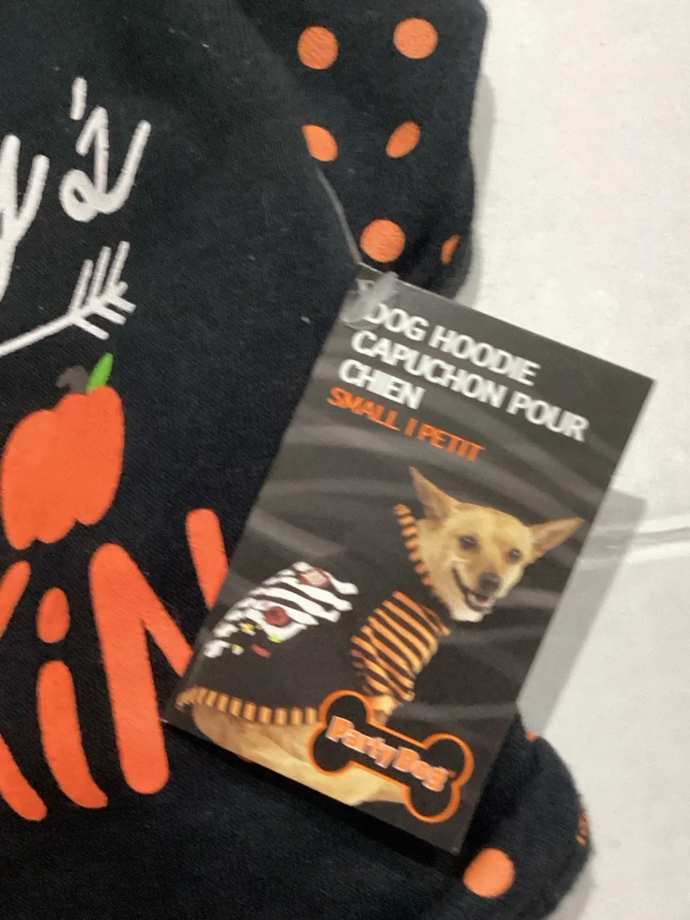 party dog festive black